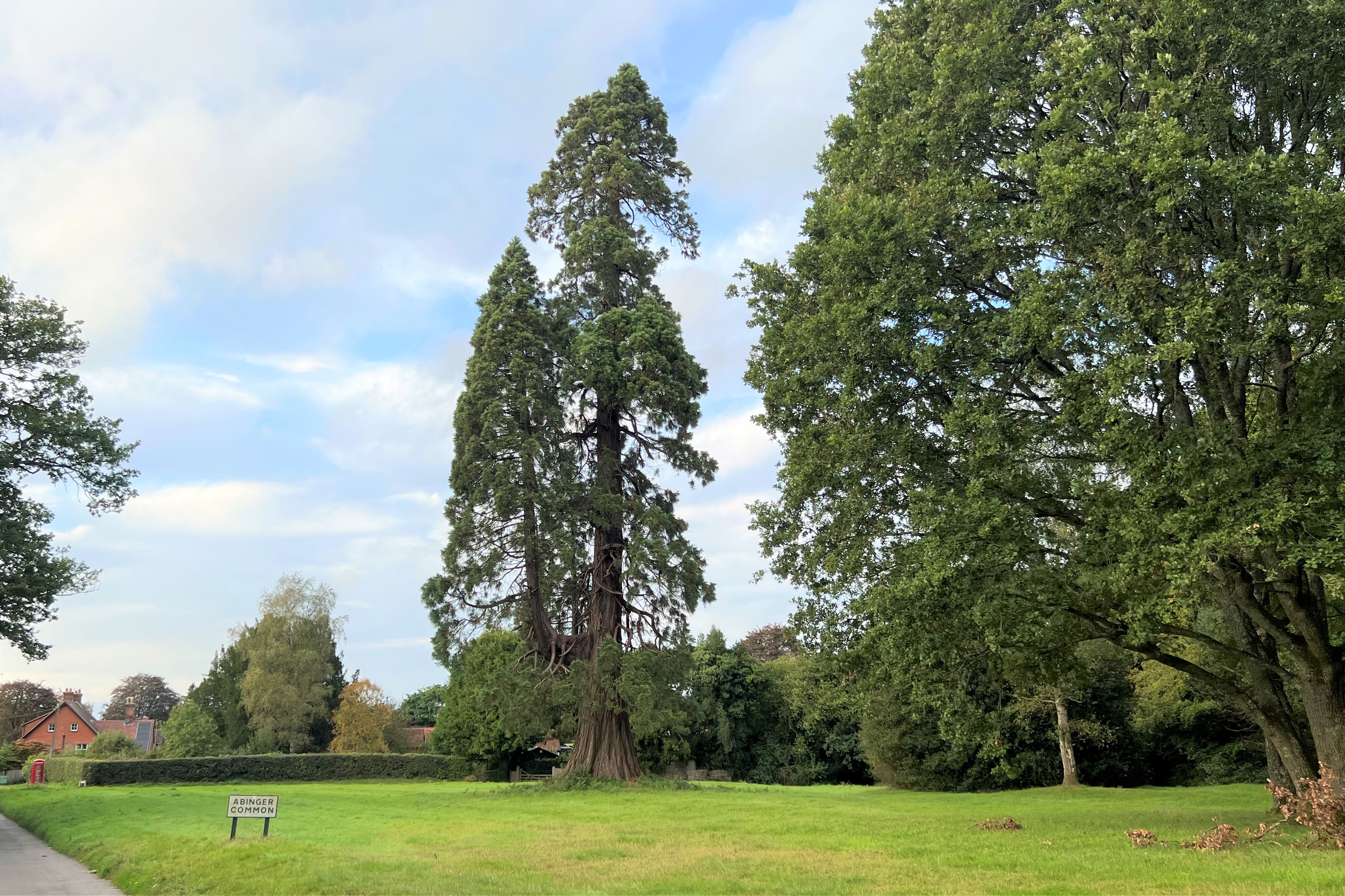 Abinger Common