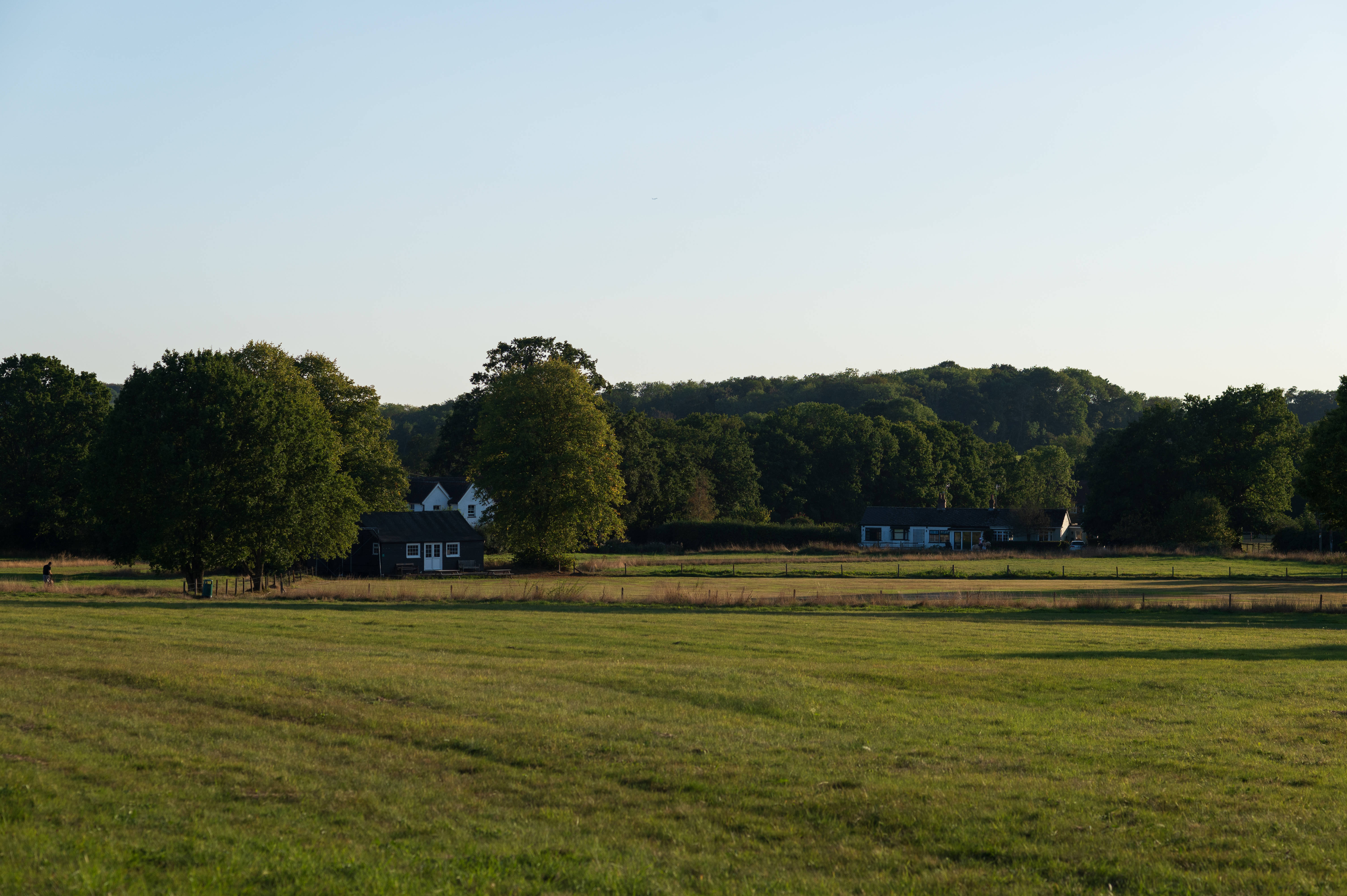 Forest-Green